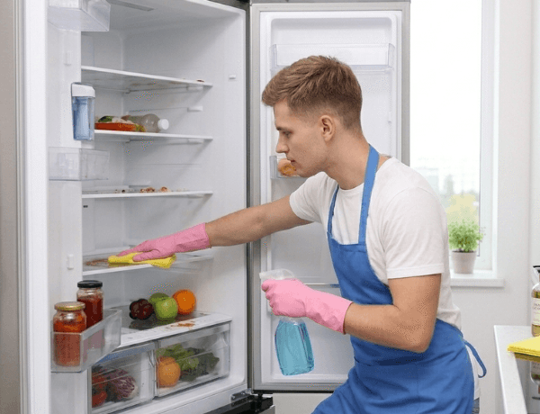 Limpieza de nevera (interior) (1)
